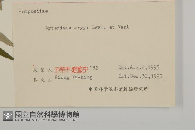 艾蒿藏品圖，第3張