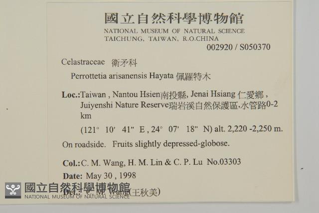 佩羅特木藏品圖，第2張