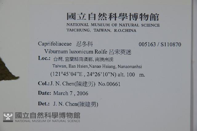 呂宋莢迷藏品圖，第2張