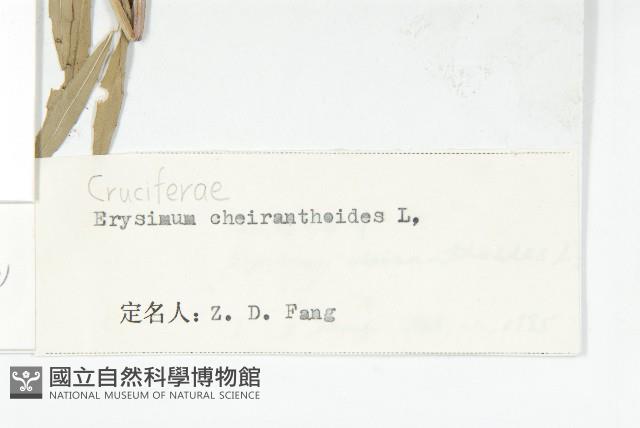 登錄號:S021970藏品圖，第3張