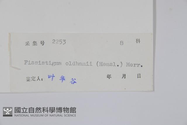 瓜馥木藏品圖，第2張