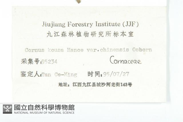 四照花、山荔枝藏品圖，第3張