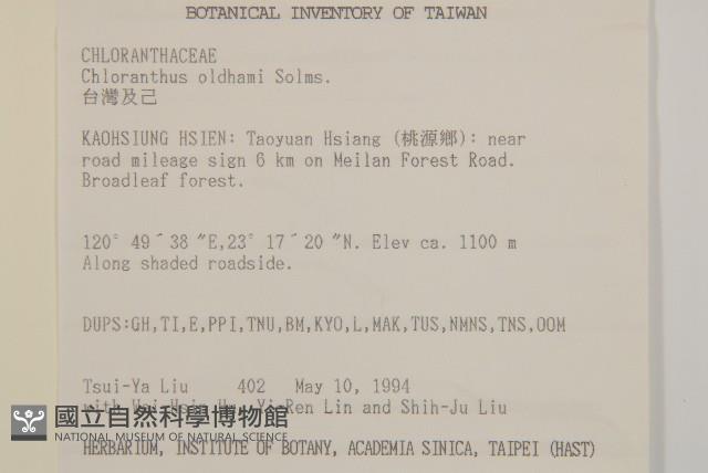 臺灣及己藏品圖，第2張