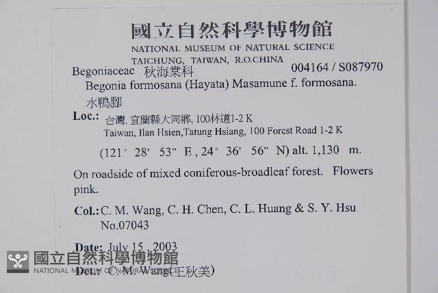 Accession Number:S087970 Collection Image, Figure 2, Total 2 Figures