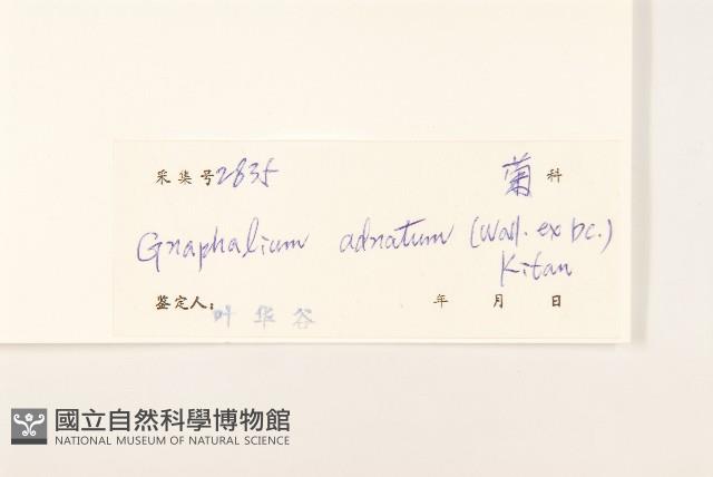 紅面番藏品圖，第3張