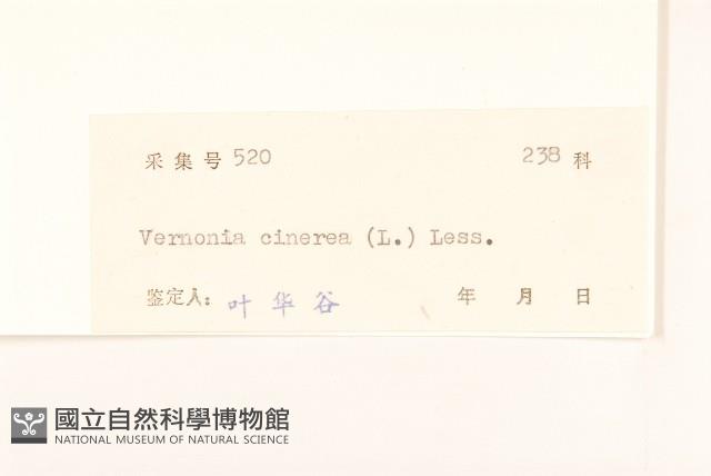 一枝香藏品圖，第3張