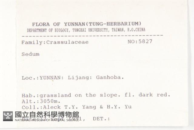 登錄號:S025780藏品圖，第3張