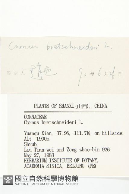 沙棶藏品圖，第3張