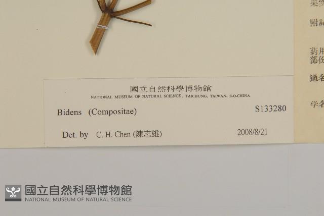 登錄號:S133280藏品圖，第3張