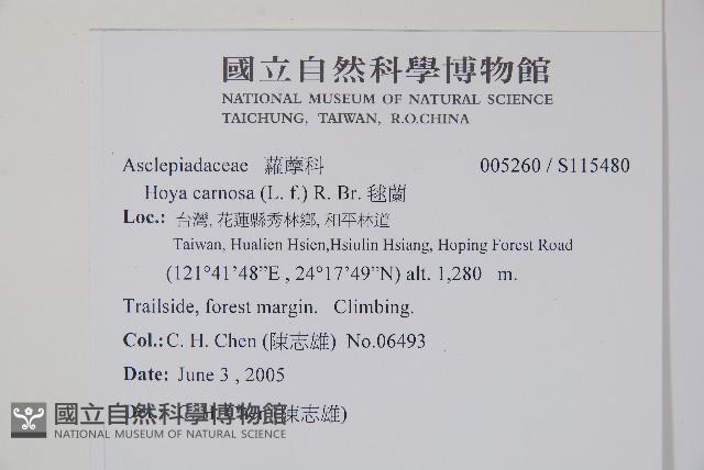 毬蘭藏品圖，第2張