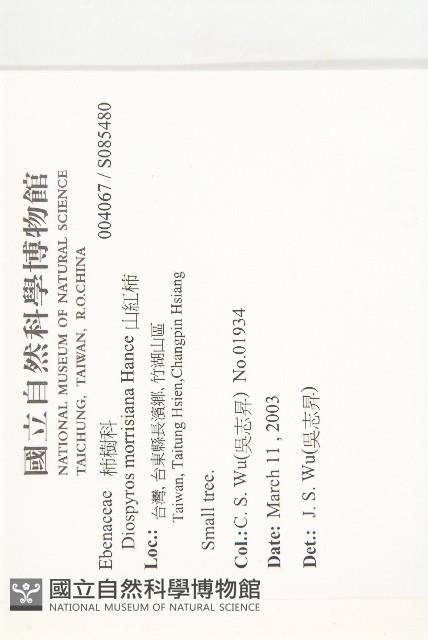 山紅柿藏品圖，第2張