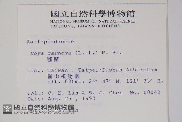 毬蘭藏品圖，第2張