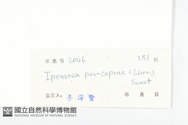 登錄號:S032980藏品圖，第3張