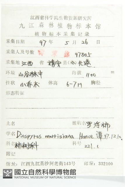 山紅柿藏品圖，第2張