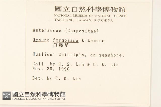 白鳳菜藏品圖，第2張