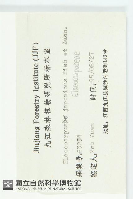 薯豆藏品圖，第3張