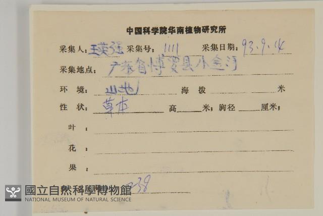 鱧腸藏品圖，第2張