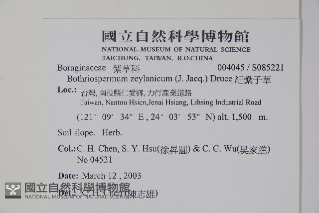 細纍子草藏品圖，第2張