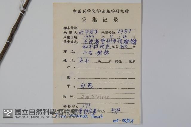 鐵冬青藏品圖，第2張