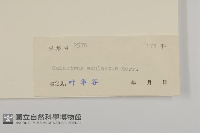 過山楓藏品圖，第3張