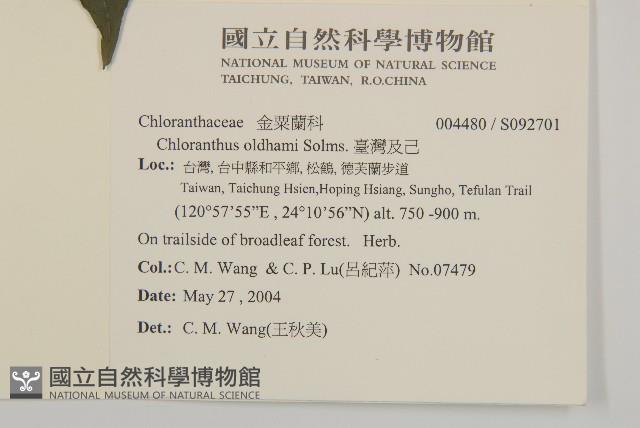 臺灣及己藏品圖，第2張