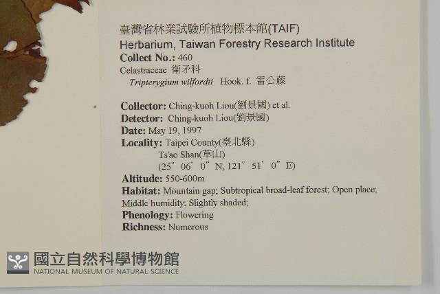 雷公藤藏品圖，第2張