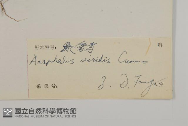 綠香青藏品圖，第3張