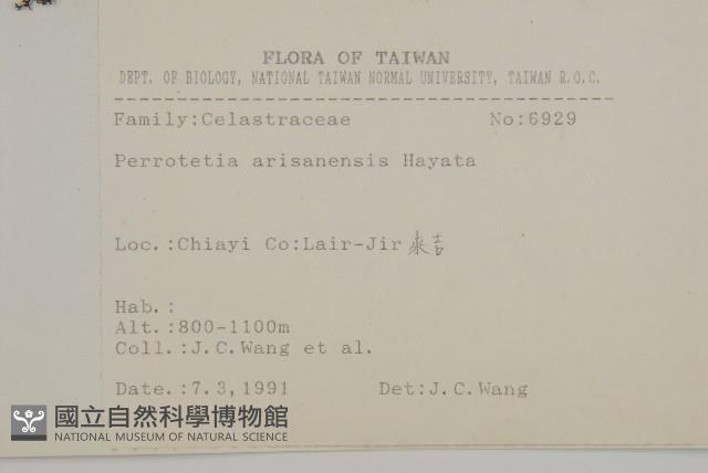 佩羅特木藏品圖，第2張