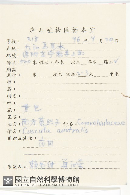 菟絲子藏品圖，第2張