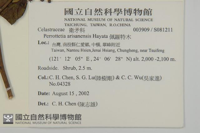 佩羅特木藏品圖，第2張