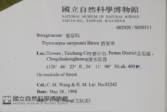 盾果草藏品圖，第2張