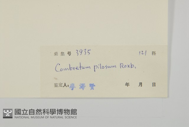 長毛風車子藏品圖，第3張