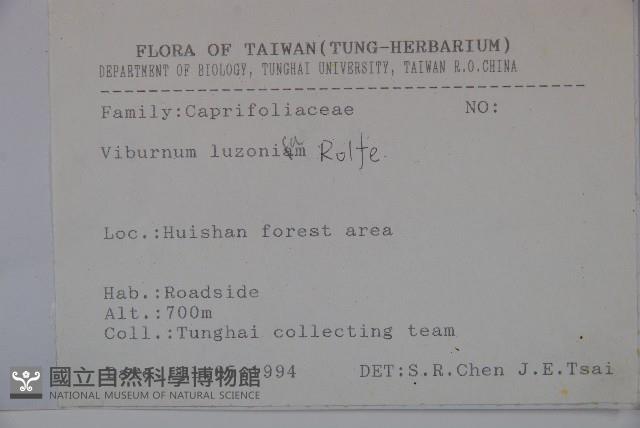 呂宋莢迷藏品圖，第2張