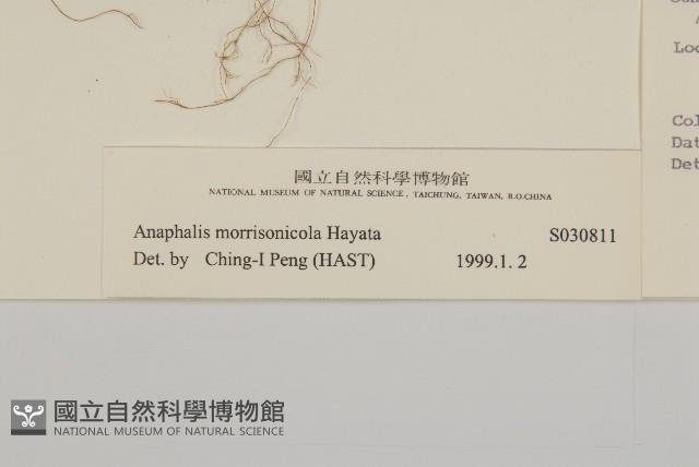 玉山抱莖籟簫藏品圖，第3張