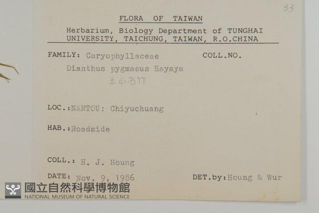 玉山石竹藏品圖，第2張