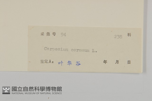 杓兒菜藏品圖，第3張