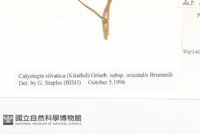 登錄號:S020511藏品圖，第3張