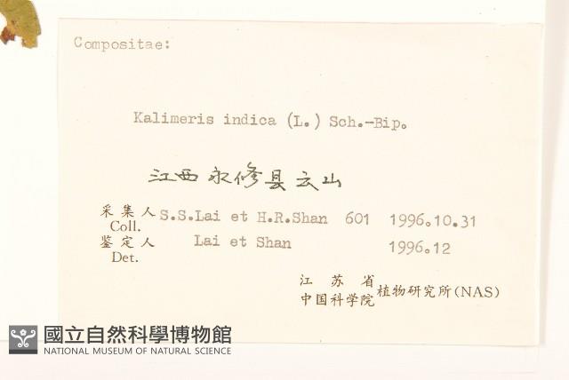 雞兒腸藏品圖，第3張