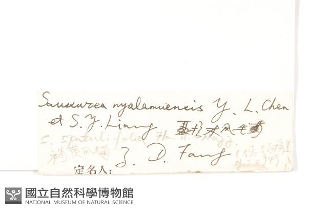 登錄號:S022751藏品圖，第3張