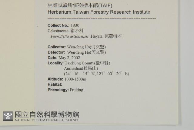 佩羅特木藏品圖，第2張