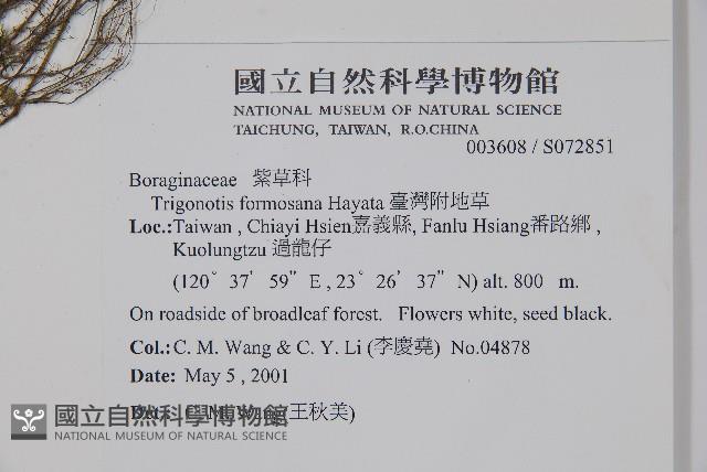 臺灣附地草藏品圖，第2張