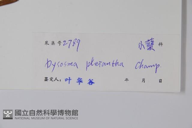 八角蓮藏品圖，第2張