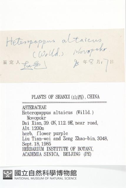 阿爾泰狗哇花藏品圖，第3張