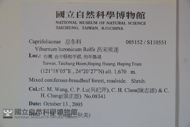 呂宋莢迷藏品圖，第2張