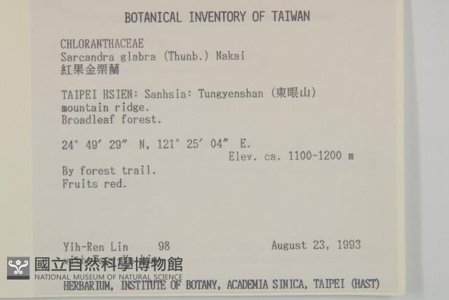 草珊瑚、紅果金粟蘭藏品圖，第2張