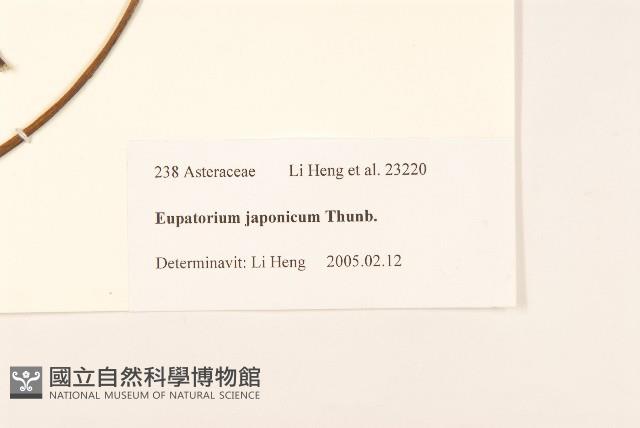 Accession Number:S106291 Collection Image, Figure 3, Total 3 Figures