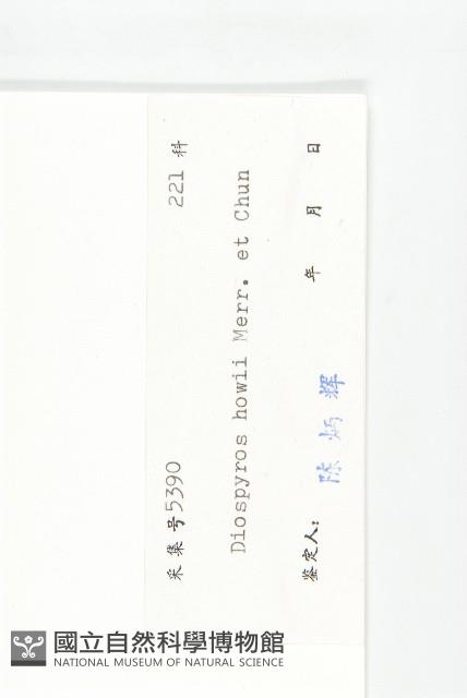 鏡面柿藏品圖，第3張