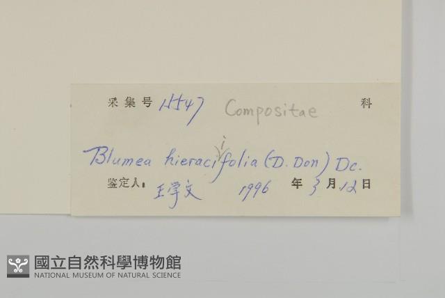 毛將軍藏品圖，第3張