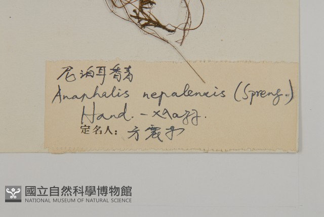 尼泊爾籟簫藏品圖，第3張