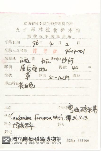 Small-leaved bittercress Collection Image, Figure 2, Total 2 Figures